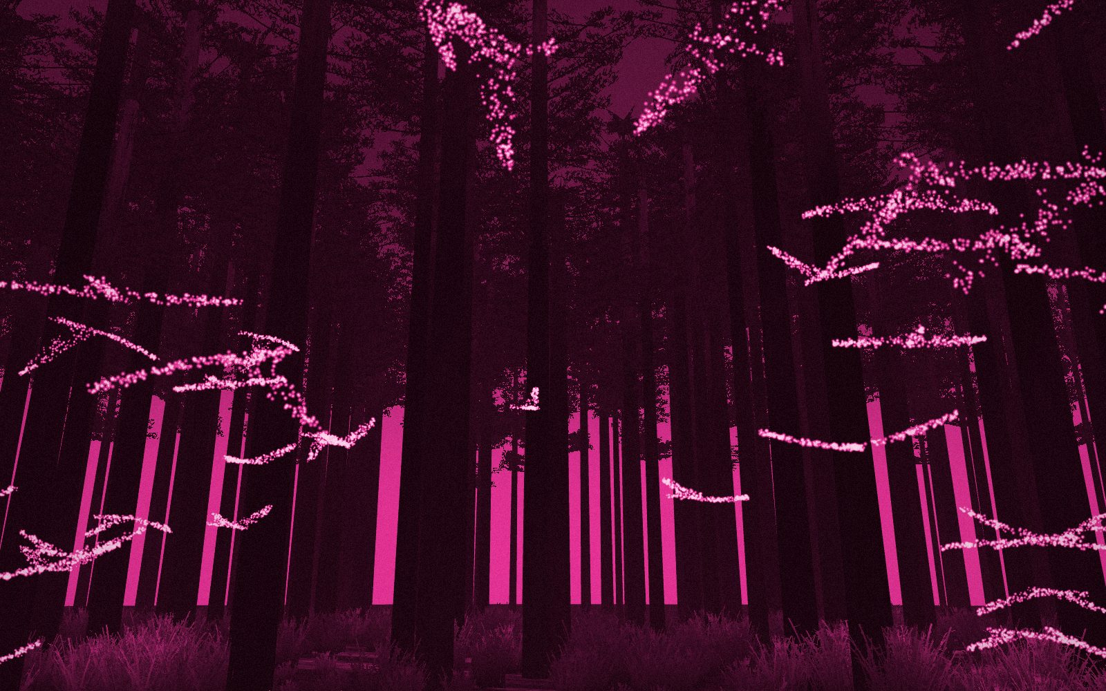 Bosque rosa con pájaros de luz